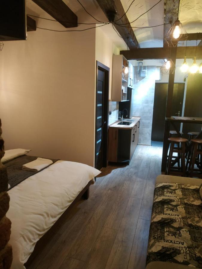 Loft Апартаменти З Балконом В Центрі Львова 外观 照片